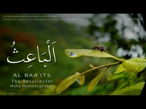 Asma Ulhusna Lyric Video   Ilma Plojovic