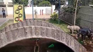 SNBP International School Video