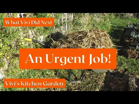 , title : 'Vivi's Kitchen Garden: An Urgent Job!'