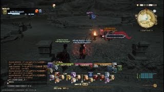 ファイナルファンタジーXIV　竜騎士　木人なぐりー