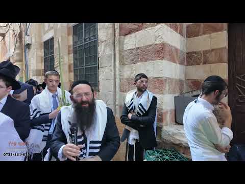 סיבוב שערים - שער הברזל - הרב צבי פסח דנציגר - סוכות תשפ"ז