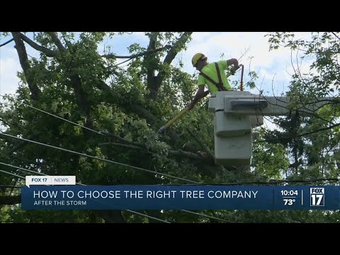 Storm damage cleanup: Are you hiring the right company?