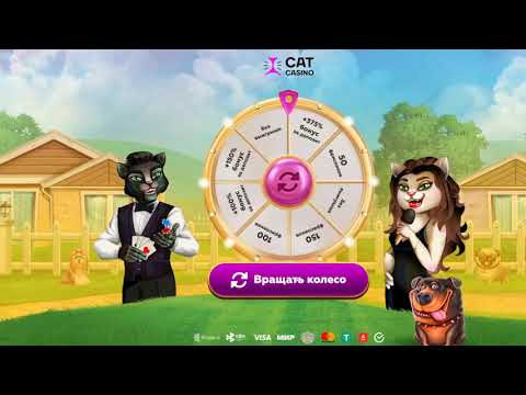 Cat Casino