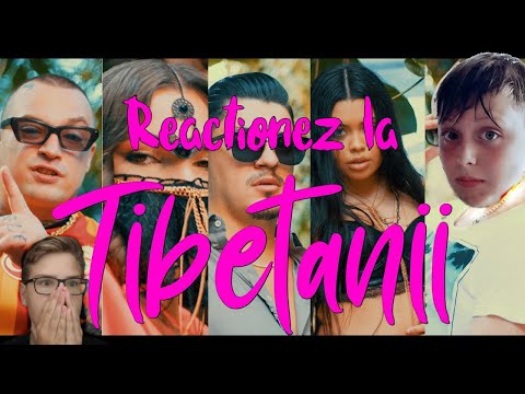 Reactionez la Bogdan DLP ❎ ANISHA ❎ Vanessa ❎ Costi ❎ OG Eastbull - Tibetanii cu Rares Gherman