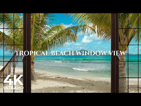 4K Tropical Beach window view in the Caribbean - Palm Trees, Ocean Sounds, Waves, White Noise