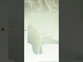 NAS NAS Mein Tu To Samailu Na Jaane Kahan Se WhatsApp Status Parkash 10october 2021