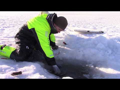 Talviverkoilla 21.3.2022