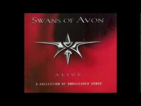 SWANS OF AVON - The Sacrifice Of Night
