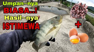 Download lagu Pelampung Ngetrik Terus,Mancing Ikan nila badot dengan umpan cacing telur#mujair mp3
