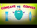 Why Does Light Bend? | Concave & Convex Lenses | The Dr Binocs Show | Peekaboo Kidz