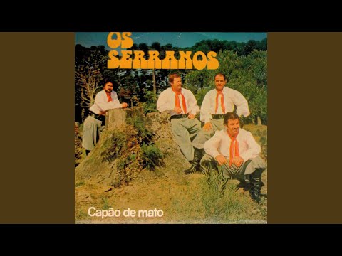 Novas Andanças video