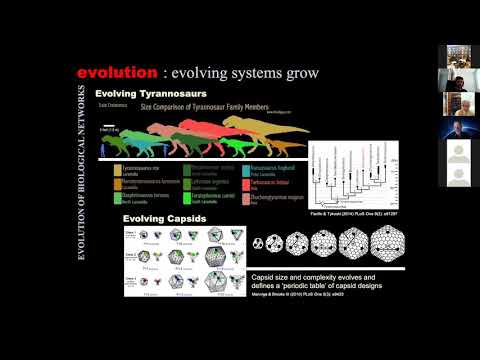 Untangling the evolution of biological systems, by Gustavo Caetano-Anollés. 5th NoRCEL conference.