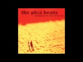 Pica Beats - Beating Back the Claws of the Cold