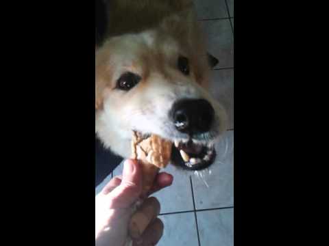 Lee Ann sharing ice cream