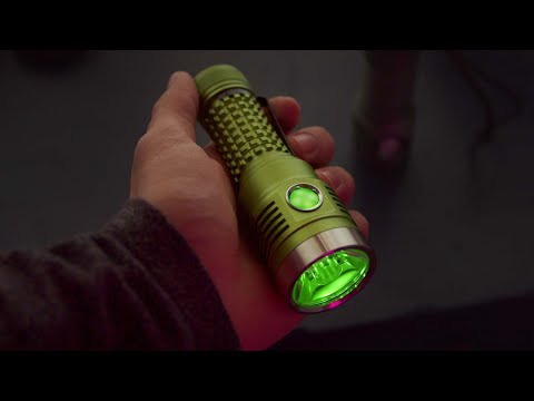 Noctigon DM11 - First Look