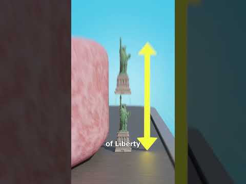 Grinding Up Every Cow To Make A Burger 😮