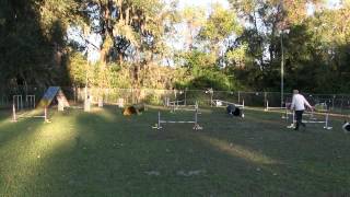 Daisy Week 3 Sequence 3