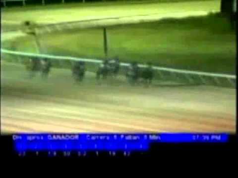 Resumen Jueves, 26 de Enero de 2012 - Valencia