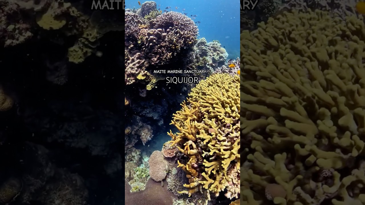 YouTube Short thumbnail