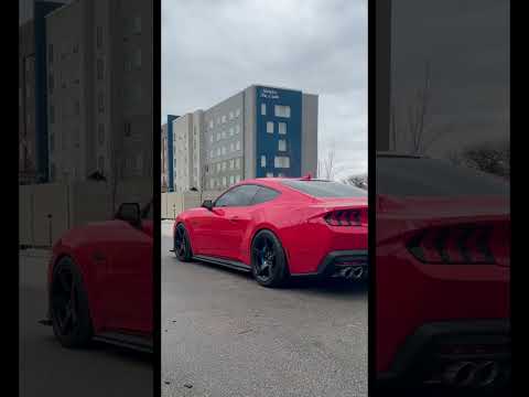 The 2024 mustang gt #corsa #s650mustang #mustanggt #650 #ford #mustang #2024mustang #mustanglife