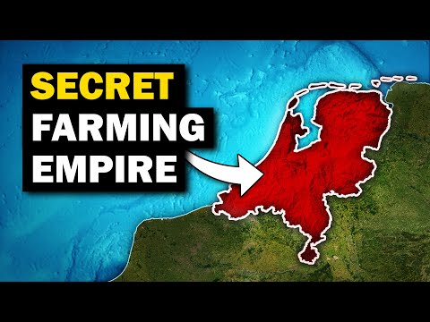 How the Netherlands Feeds the World