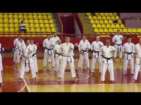 IJKA SEMINAR OHRID | Punching practice with kime
