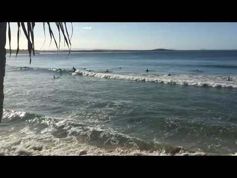 Noosa Heads 1st Point Surfing Spot