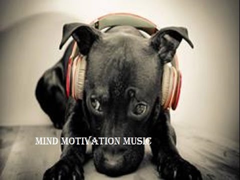 Indie Electro 3 -  Cospe Cospe