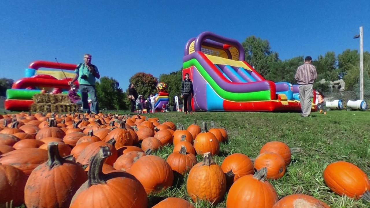 Wheel Fun Pumpkin Patch