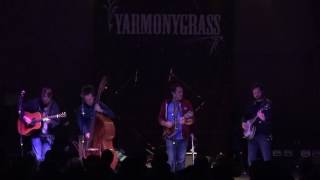 Jeff Austin Band - full show - 8-19-16 YarmonyGrass Rancho Del Rio, CO SBD HD tripod