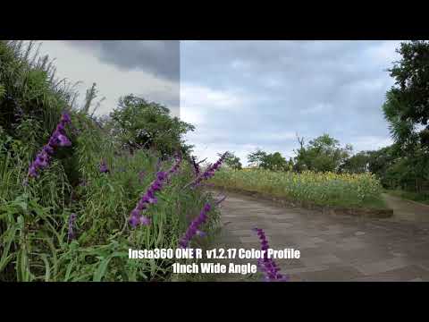 Insta 360 ONE R  1-Inch Wide Angle Mod Color Profile