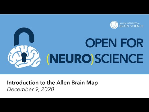 image-What is the brain atlas used for?