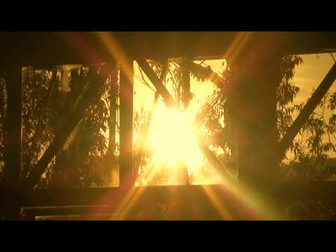 ESTA FORÇA - FLOR DE JAGUBE - NATAL 2017