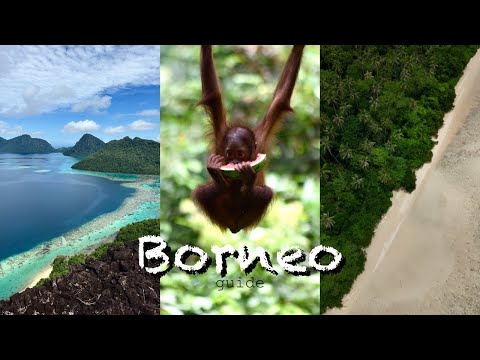 Borneo-Guide | Inselparadies in den Tropen | ZU SCHÖN UM WAHR ZU SEIN | beyondborders