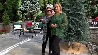 Susan Graver Printed Woven Blouse with Lurex & Knit Cami on QVC