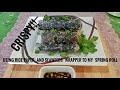 Crunchy Rice Paper Seaweeds Roll With Glass Noodles