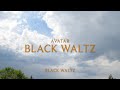 Avatar - Black Waltz (Lyrics)