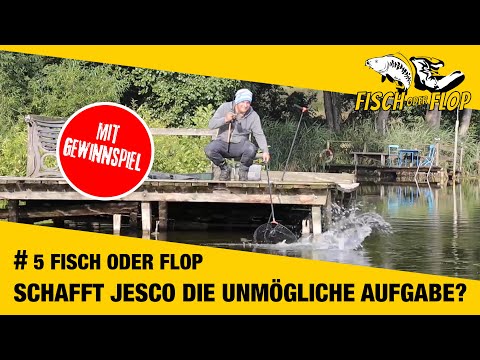 #5 FISH or FLOP: Can Jesco manage the impossible? Feeder fishing for bream on the canal and lake!