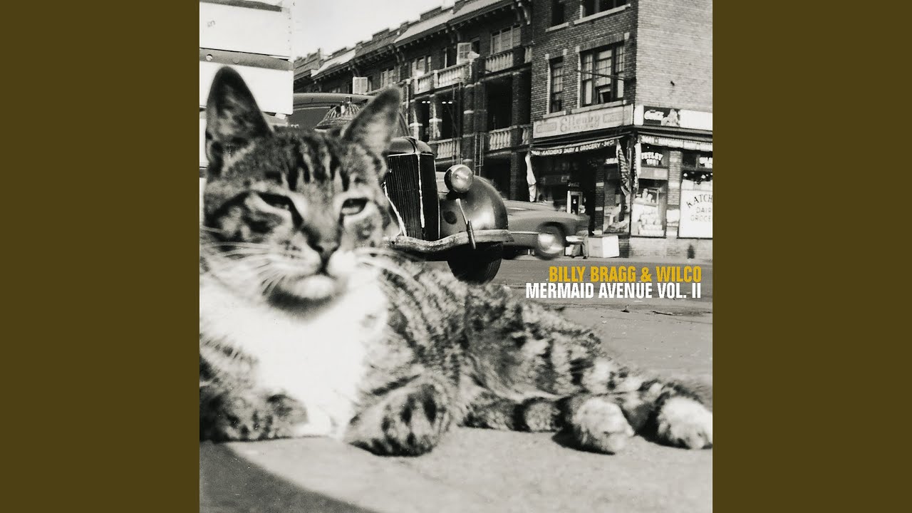 Billy Bragg - Meanest Man