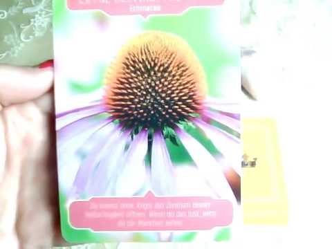 Götter - Wochenorakel vom 13. Mai - 19.Mai 2016