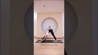 2023 拜日式（廣東話）Traditional Sun Salutation Demo