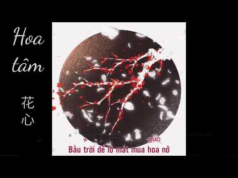 [Lyric][Vietsub|| Our song] Hoa tâm 花心_ Châu Hoa Kiện, Tiêu Chiến