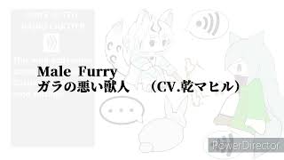 Video 4