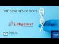 The genetics of dogs (excerpt)