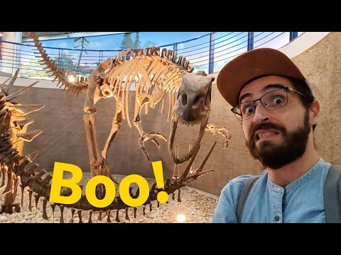 Beijing Museum of Natural History
