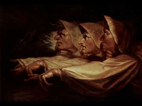 Die Streuner - Die Hexe