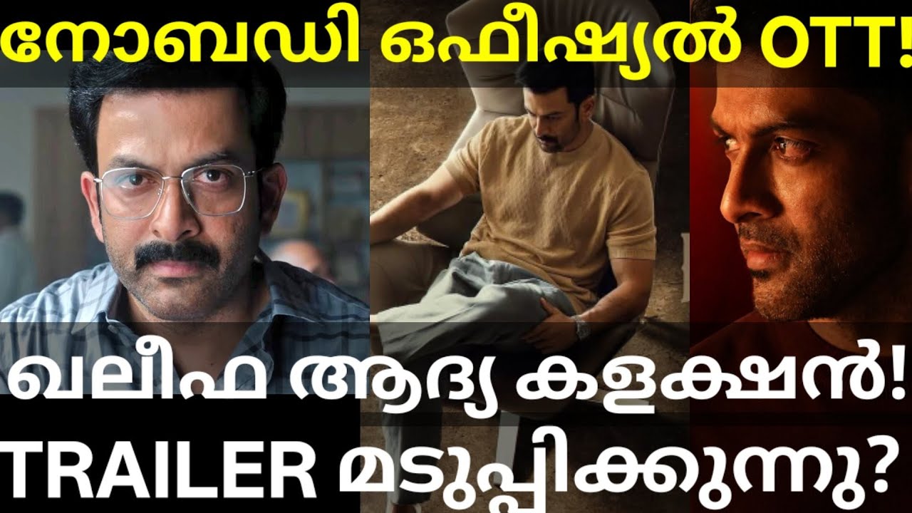 Khalifa Movie Collection and Trailer |INobody Movie OTT Release Date #Hotstar #Prithviraj #Khalifa