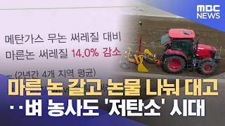 벼농사도 '저탄소' 전환‥ "기후·에너지 위기 극복" (2026.05.04/뉴스데스크/안동MBC)