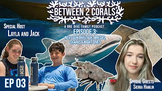 Episode 3: Next Gen Dive Talk: Wrecks, Sharks & Night Dives #nextgen