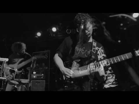 Amiensus- What Word's Create (live music video)